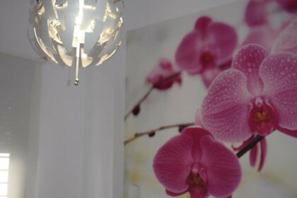 7917f04eee992703d077dabc470b5776 - 9