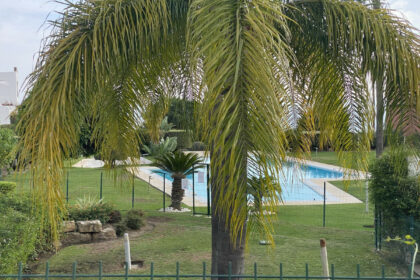 7e1806058b823462b39a961f1f83b2bc - 25