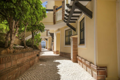 8226a588e0654da8161b8ea14791d321 - 23