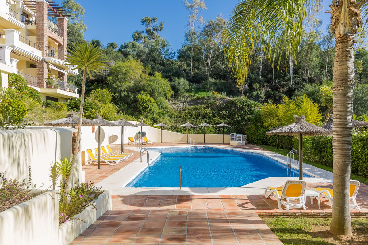 82570846fe0e8f491bfe3b4fd0130883 - 13