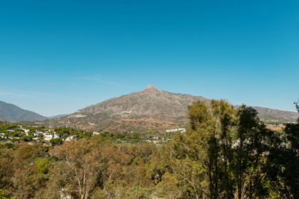 8293134205a21bc456163246e590d19f - 12