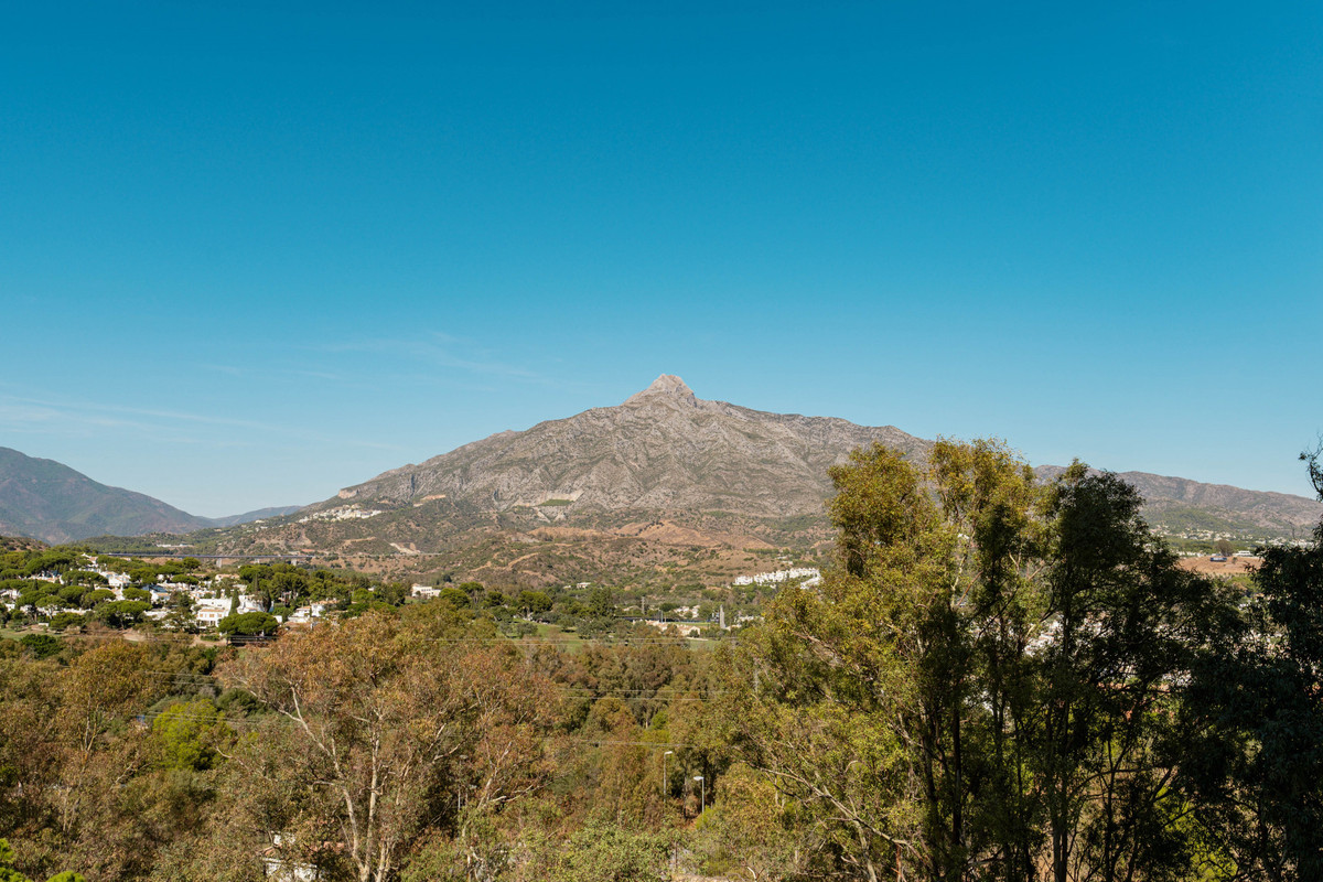 8293134205a21bc456163246e590d19f - 12