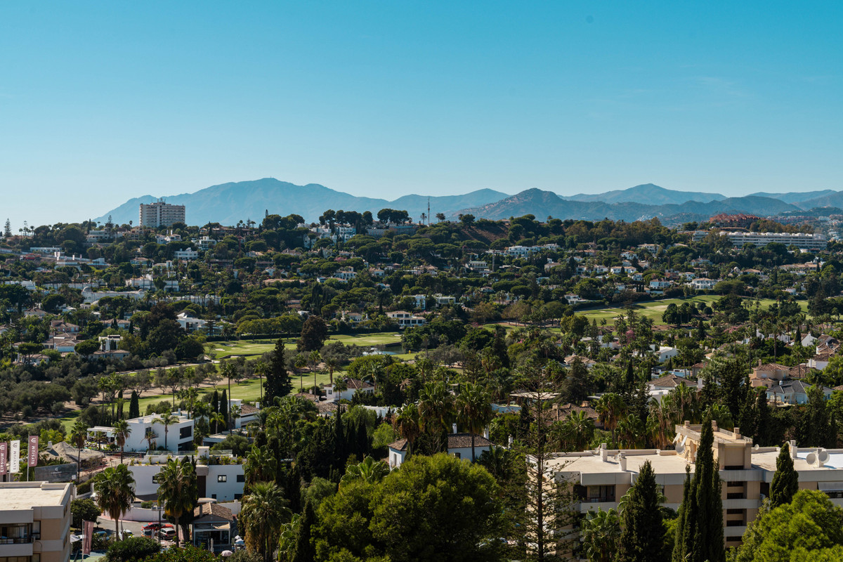 8293134205a21bc456163246e590d19f - 16