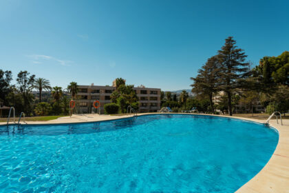 8293134205a21bc456163246e590d19f - 19