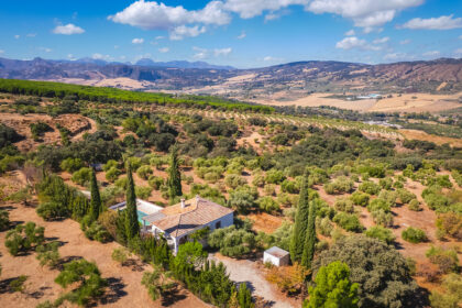 82bd2f00162b58bf3bc653d66c839d95 - 1