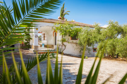 82bd2f00162b58bf3bc653d66c839d95 - 19