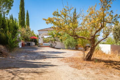 82bd2f00162b58bf3bc653d66c839d95 - 21