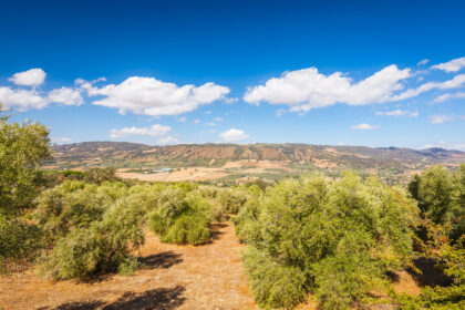 82bd2f00162b58bf3bc653d66c839d95 - 23