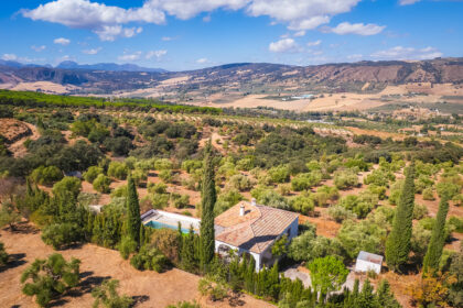 82bd2f00162b58bf3bc653d66c839d95 - 24