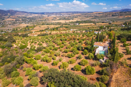 82bd2f00162b58bf3bc653d66c839d95 - 25