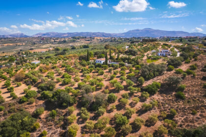 82bd2f00162b58bf3bc653d66c839d95 - 28