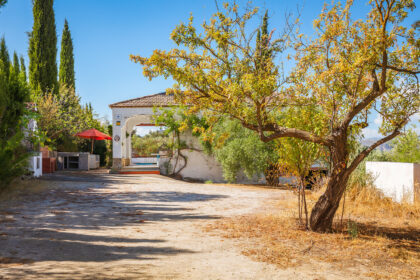 82bd2f00162b58bf3bc653d66c839d95 - 29