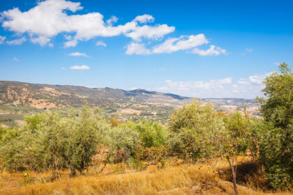 82bd2f00162b58bf3bc653d66c839d95 - 31