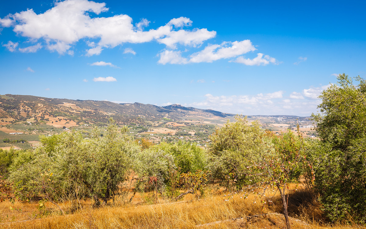 82bd2f00162b58bf3bc653d66c839d95 - 31