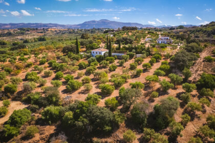 82bd2f00162b58bf3bc653d66c839d95 - 37