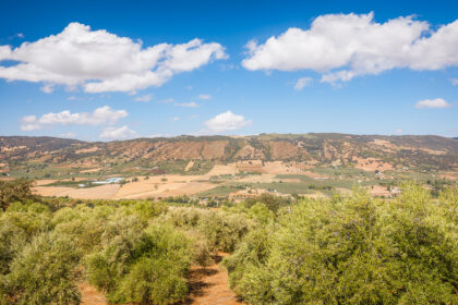 82bd2f00162b58bf3bc653d66c839d95 - 38