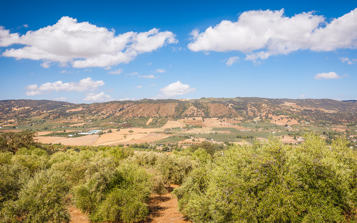 82bd2f00162b58bf3bc653d66c839d95 - 38