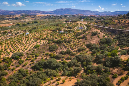 82bd2f00162b58bf3bc653d66c839d95 - 39