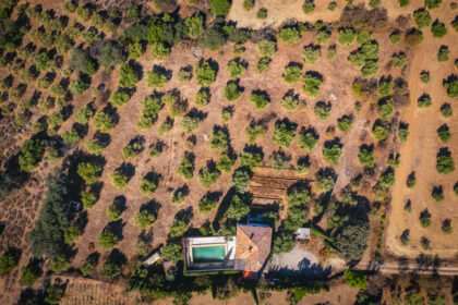 82bd2f00162b58bf3bc653d66c839d95 - 40