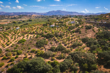 82bd2f00162b58bf3bc653d66c839d95 - 41