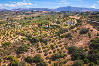 82bd2f00162b58bf3bc653d66c839d95 - 43