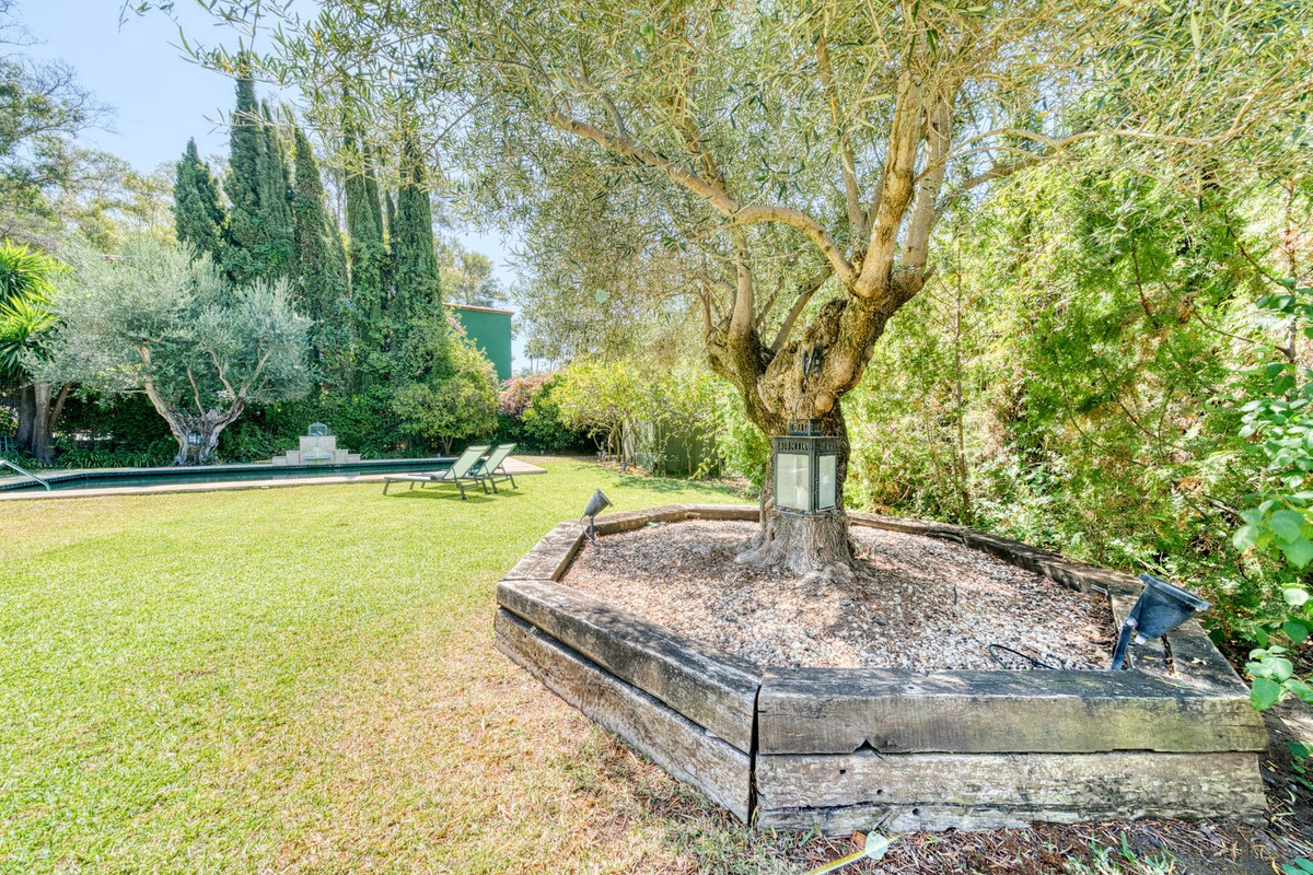 83ca1f9a38d097cc98cc2f82b7abab48 - 36