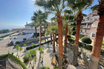 8431e670e974c0f0626162cd51f58b95 - 12