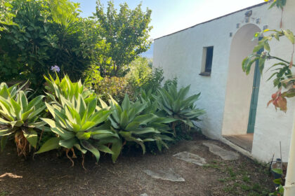 84b642102d9698fba4108bfd972cea6a - 30