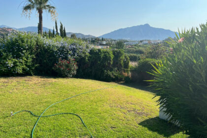 84b642102d9698fba4108bfd972cea6a - 50