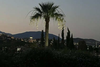 84b642102d9698fba4108bfd972cea6a - 51