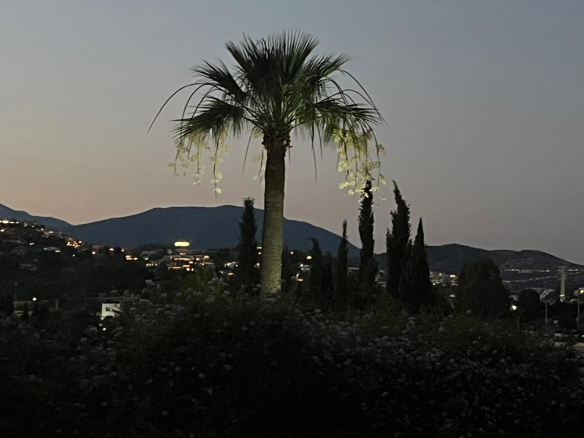 84b642102d9698fba4108bfd972cea6a - 51