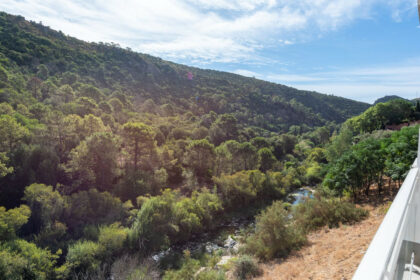 85d9ceb9498bf8eb00d00d876a94212c - 11