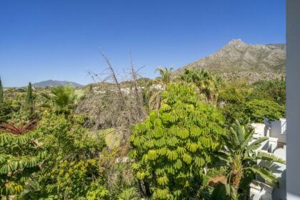 87d6ee43aa5ec9fd5cb998e8e284b47a - 52