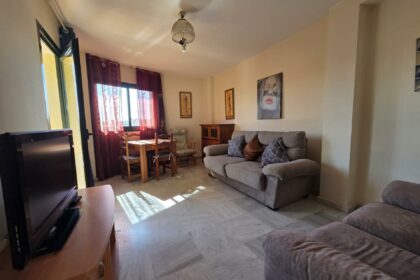 8804ba9a3612a7507e56cd5e285da449 - 14