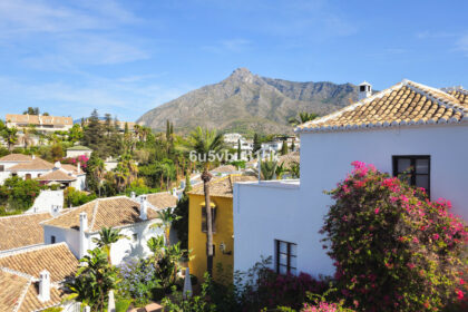 8af6be140a37d815025ec7d4c2a62c83 - 21