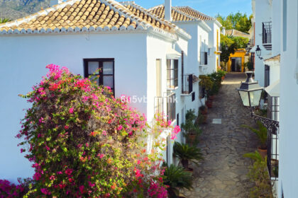 8af6be140a37d815025ec7d4c2a62c83 - 22