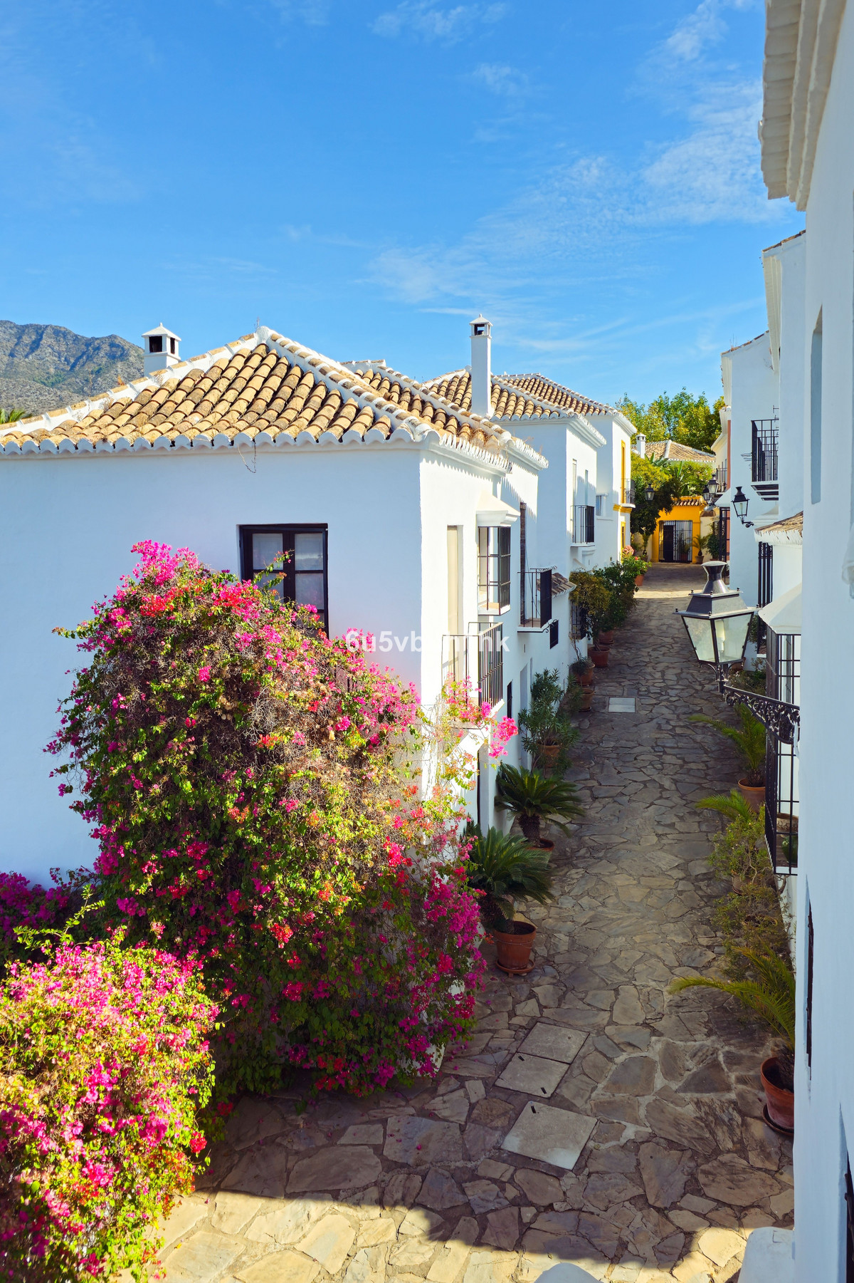 8af6be140a37d815025ec7d4c2a62c83 - 22