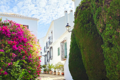 8af6be140a37d815025ec7d4c2a62c83 - 23