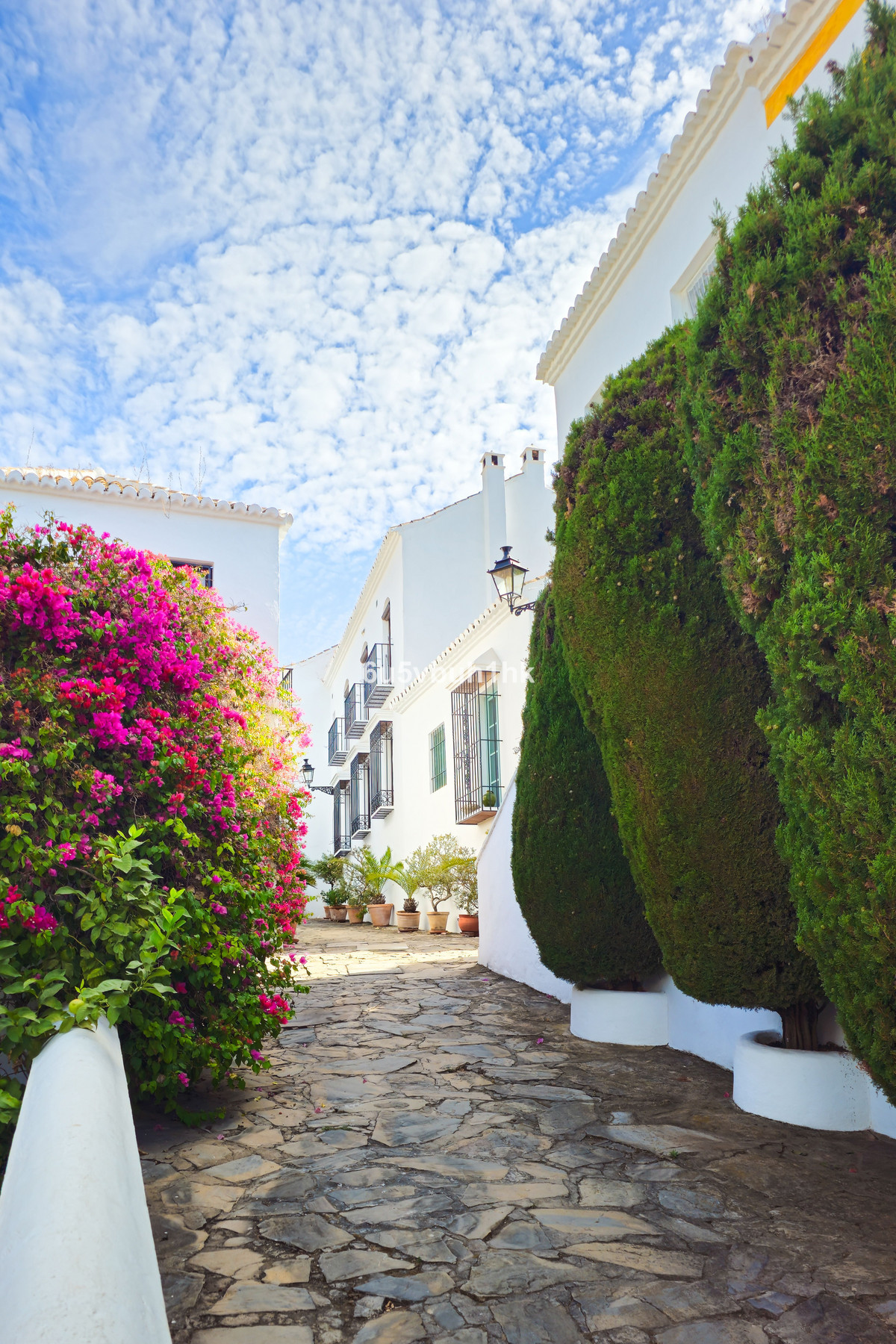 8af6be140a37d815025ec7d4c2a62c83 - 23