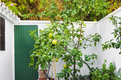 8af6be140a37d815025ec7d4c2a62c83 - 8