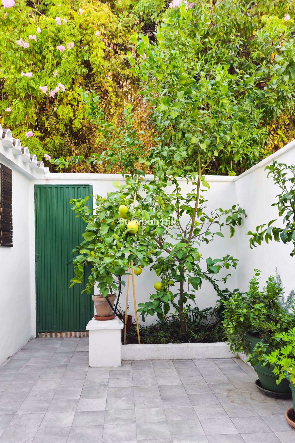 8af6be140a37d815025ec7d4c2a62c83 - 8