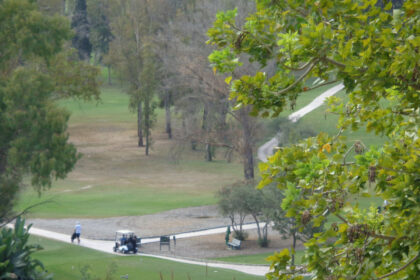 8db5030aaa94cfcd5ae6d59ef4f11c60 - 16