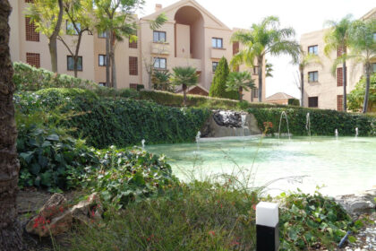 8db5030aaa94cfcd5ae6d59ef4f11c60 - 39