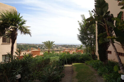 8db5030aaa94cfcd5ae6d59ef4f11c60 - 67