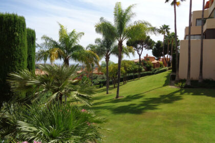 8db5030aaa94cfcd5ae6d59ef4f11c60 - 70