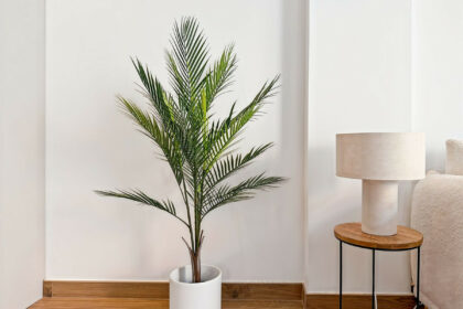 8e04880a59a7d5bc38e62e3957f9b602 - 23