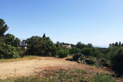 8fac2ced0ee8177df3262f674cb6438e - 11