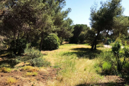 8fac2ced0ee8177df3262f674cb6438e - 3