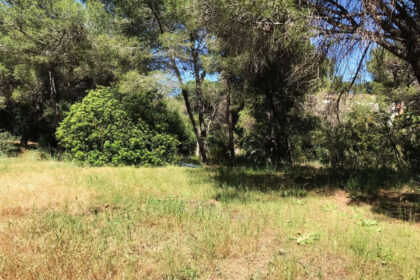 8fac2ced0ee8177df3262f674cb6438e - 9