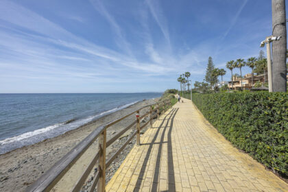 908fd7b508b34c457f0de3f740d99d96 - 23